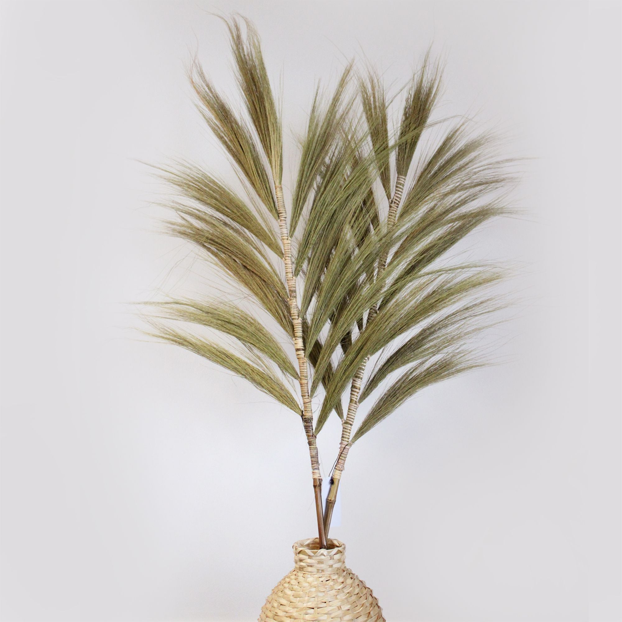Rayung Grass Natural 1.6m for Stunning Tropical Home Displays