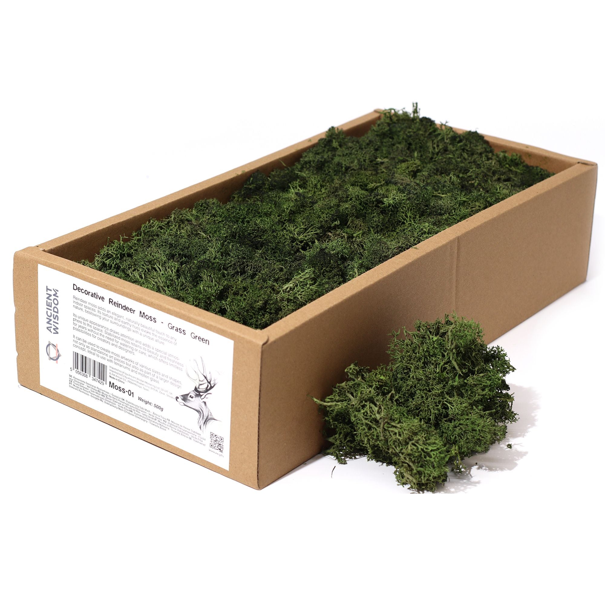 Vibrant Grass Green Decorative Reindeer Moss for Crafting Projects