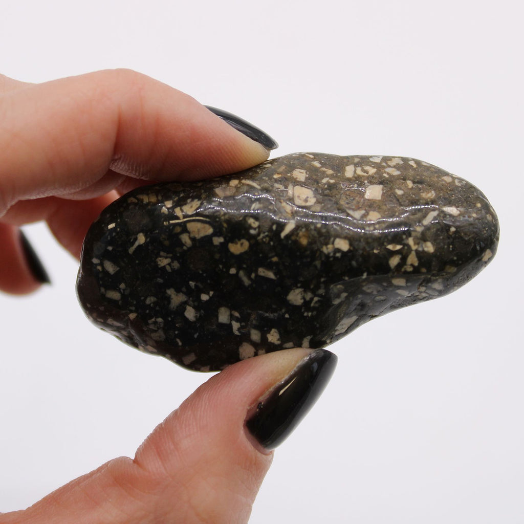 Large African Tumble Stones Guinea Fowl Large for Unique Decor