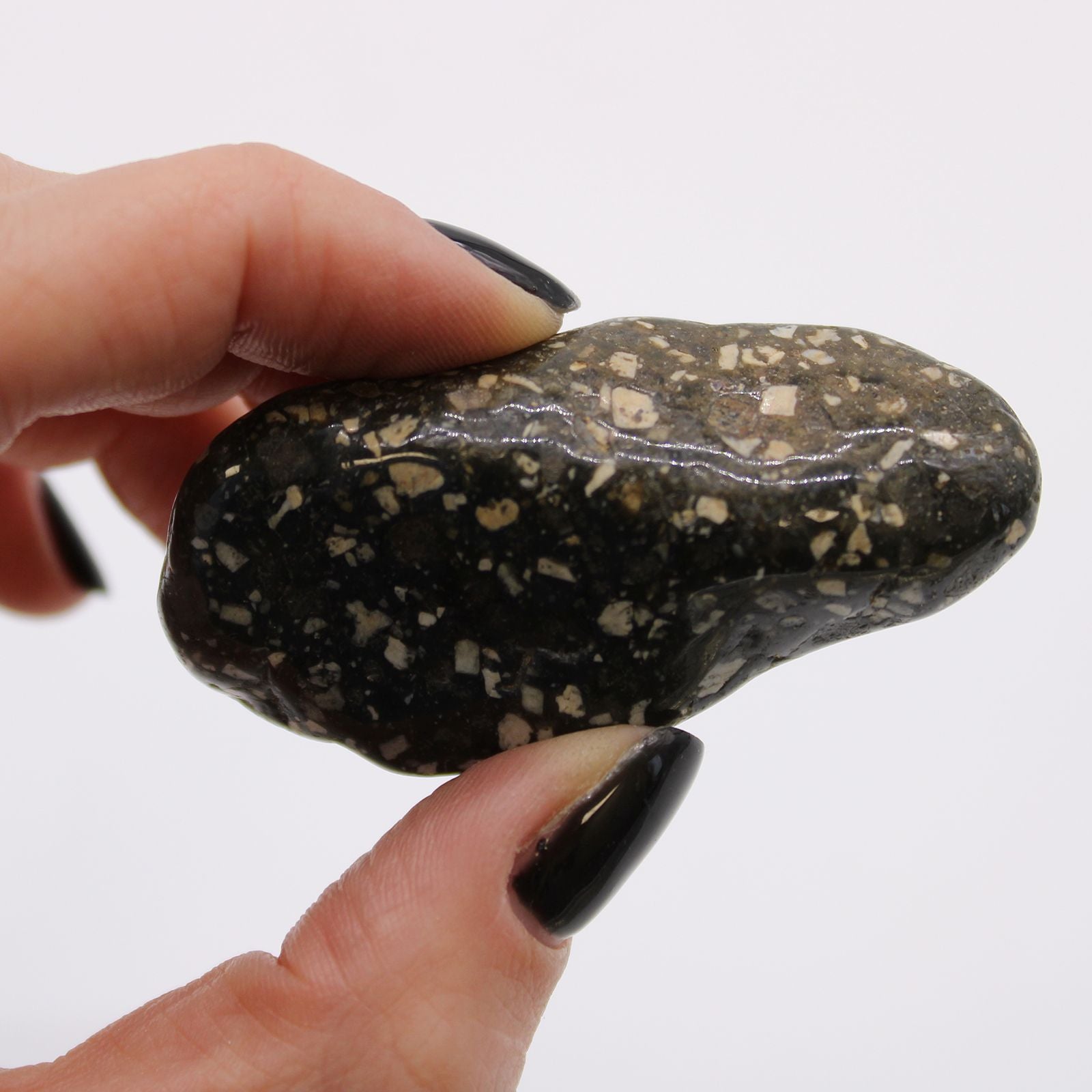 Large African Tumble Stones Guinea Fowl Large for Unique Decor
