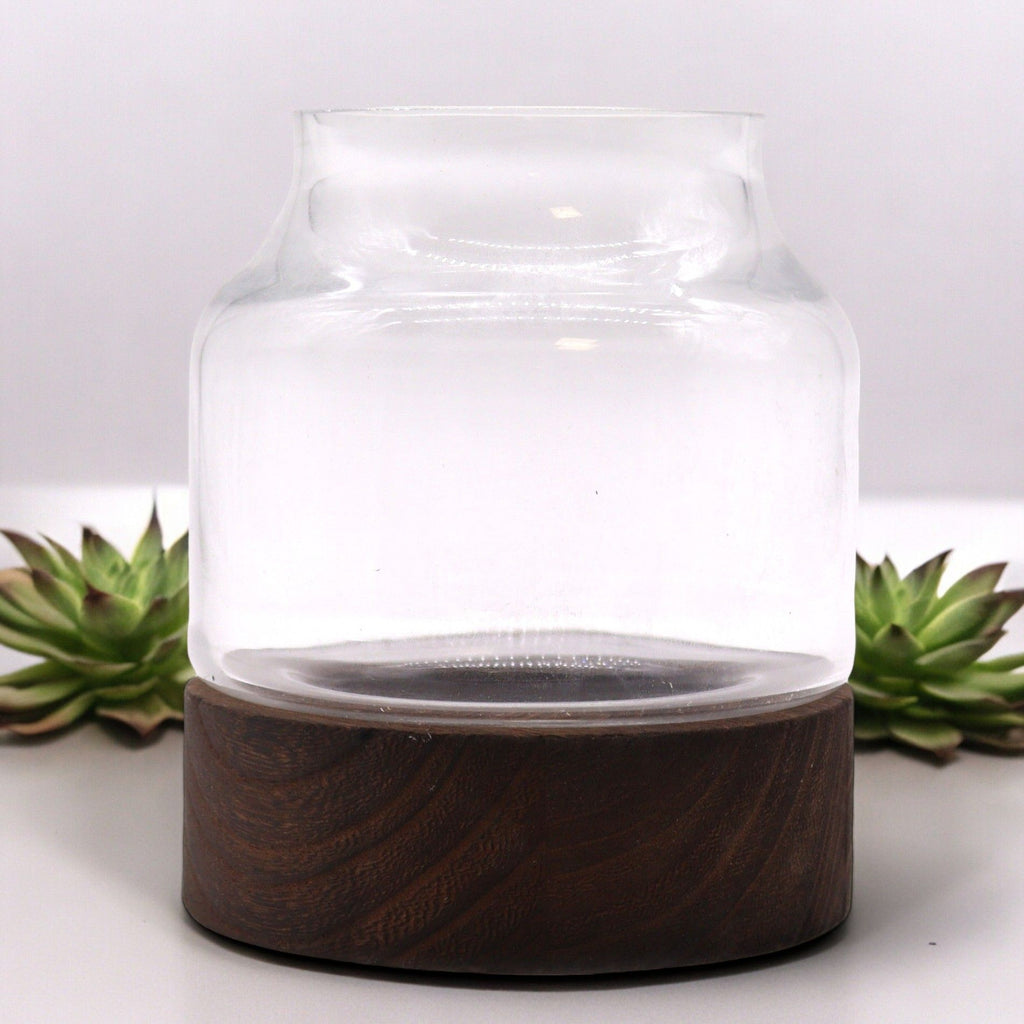 Small Shaped Terrarium on Dark Tung Wood for Indoor Gardens