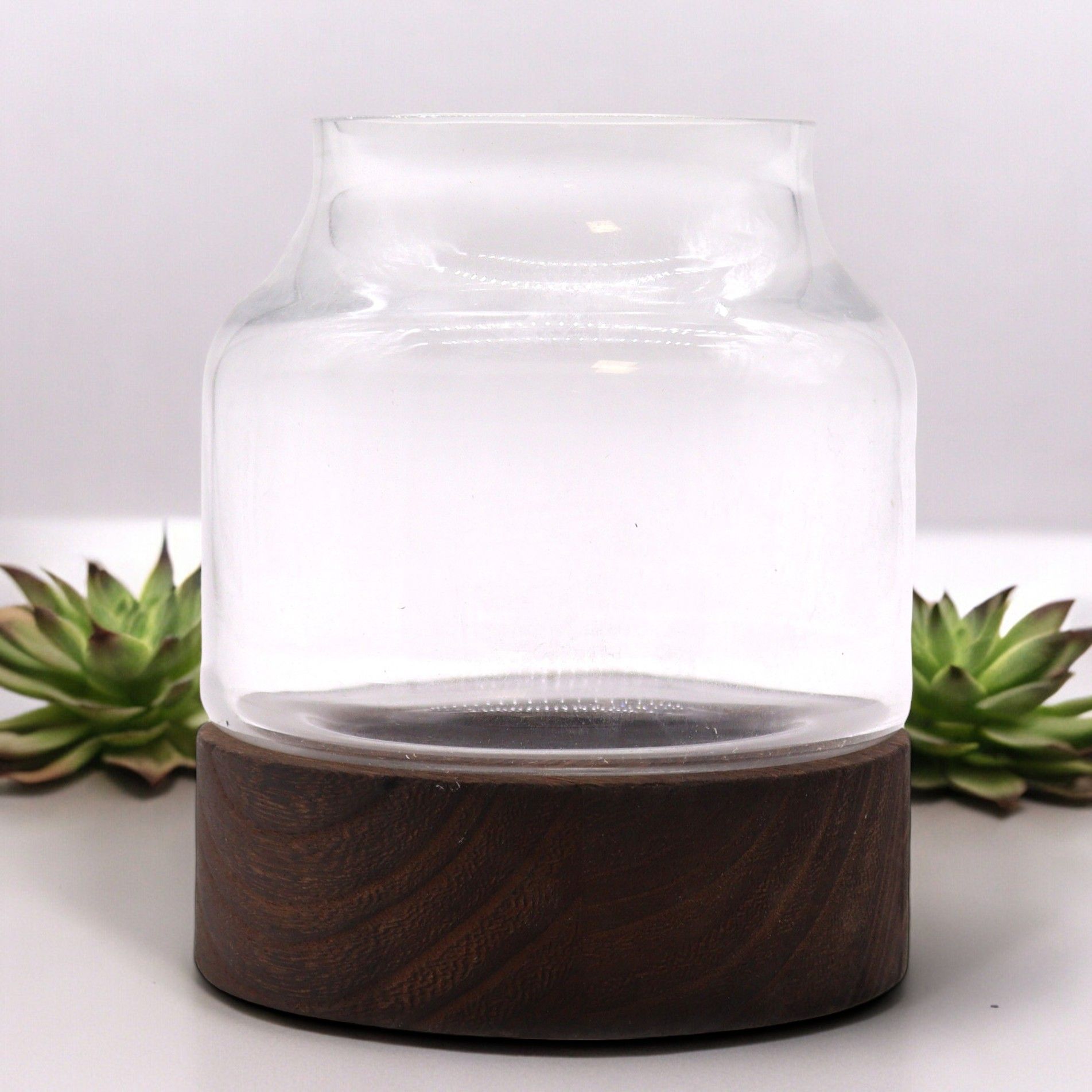 Small Shaped Terrarium on Dark Tung Wood for Indoor Gardens
