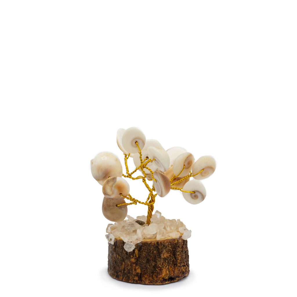 Small Gomati Chakra Circle Stone Tree with Rudraksha 15 Stones