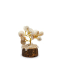 Small Gomati Chakra Circle Stone Tree with Rudraksha 15 Stones