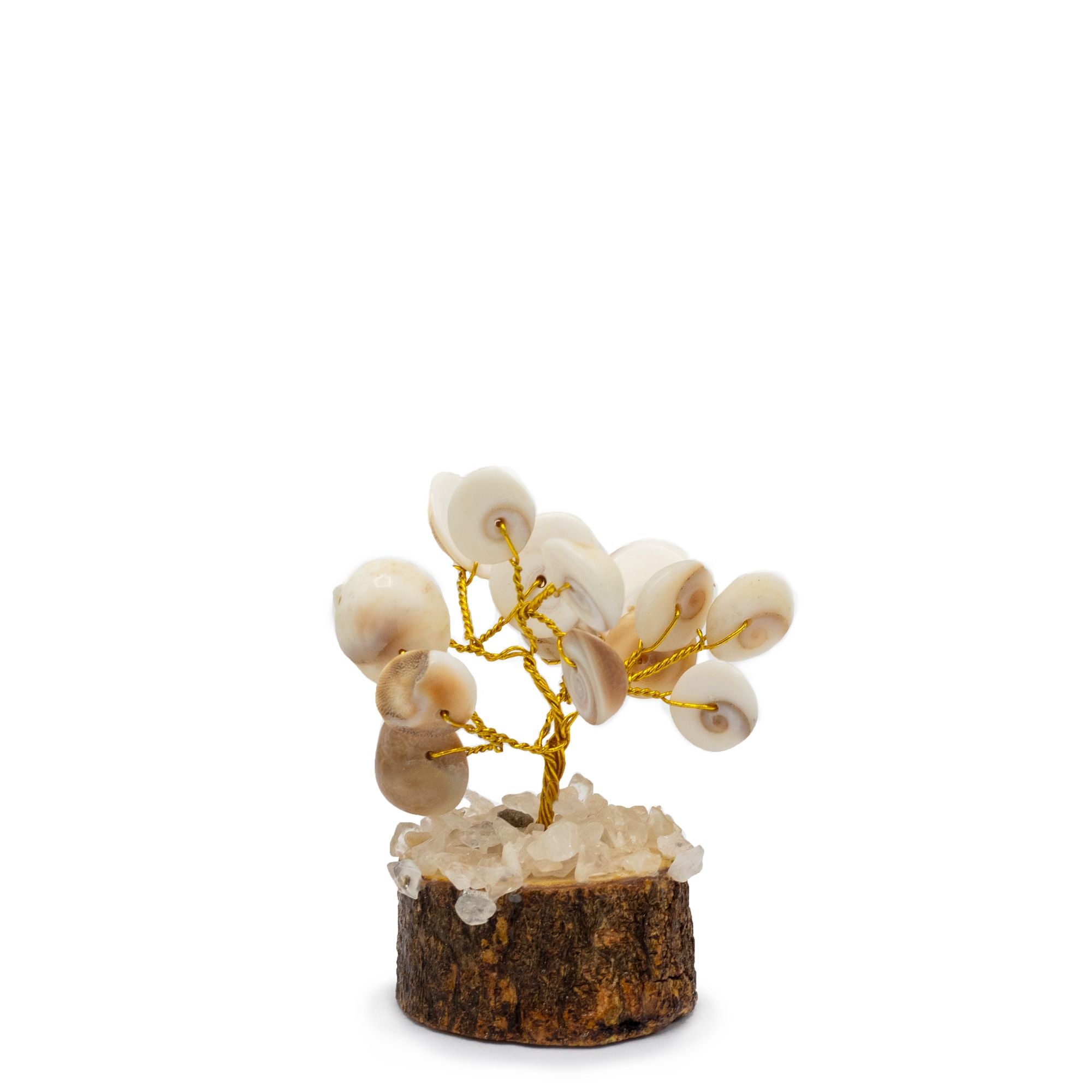 Small Gomati Chakra Circle Stone Tree with Rudraksha 15 Stones
