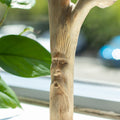 Handmade Parasite Wood Art Carving with Unique Greenman Design