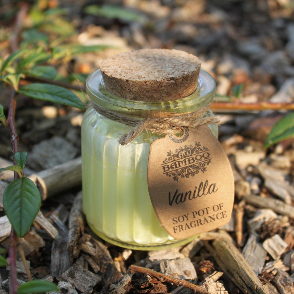 Vanilla Soy Pot of Fragrance Candles for Home and Gifting