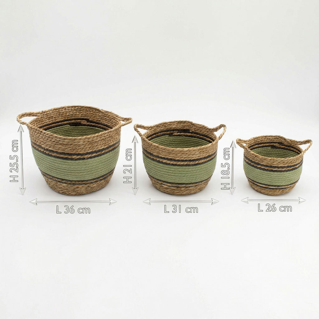 Cotton & Seagrass Large Baskets Natural Black & Green Set of 3