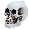 Skull Backflow Incense Burner for Captivating Smoke Effects