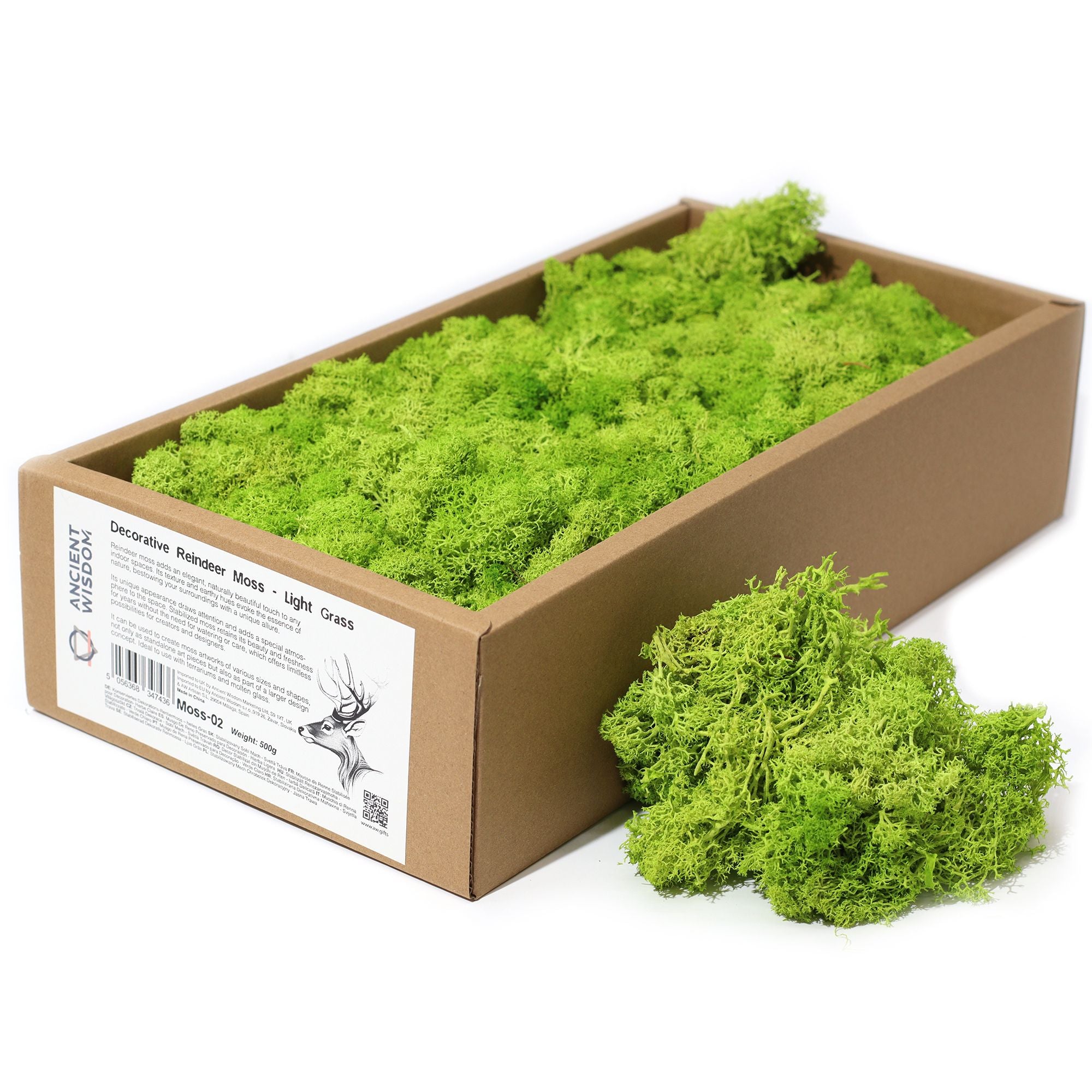 Decorative Reindeer Moss Light Grass for Craft Projects and Decor