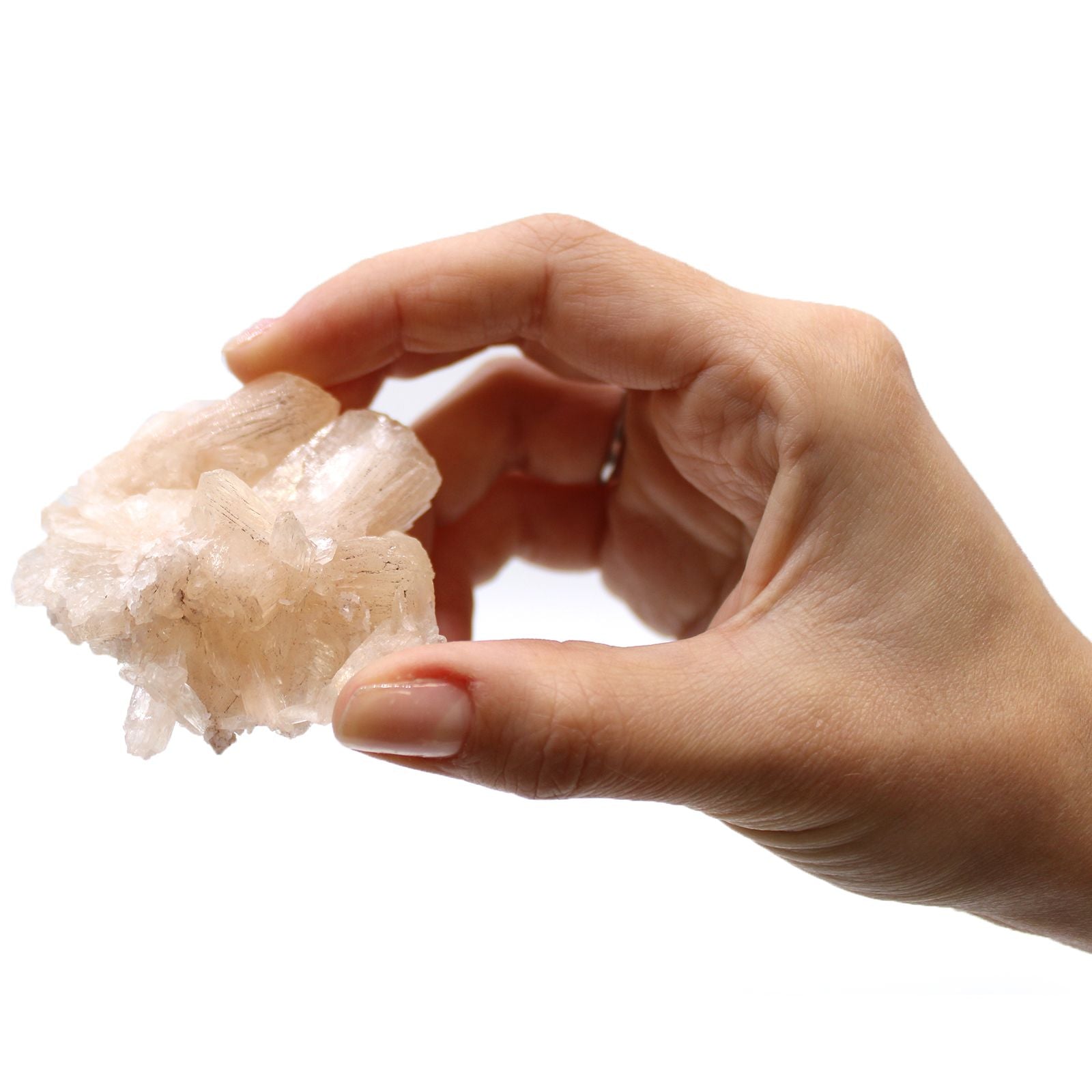 Stilbite Combination with Appophyllite Natural Mineral Specimen