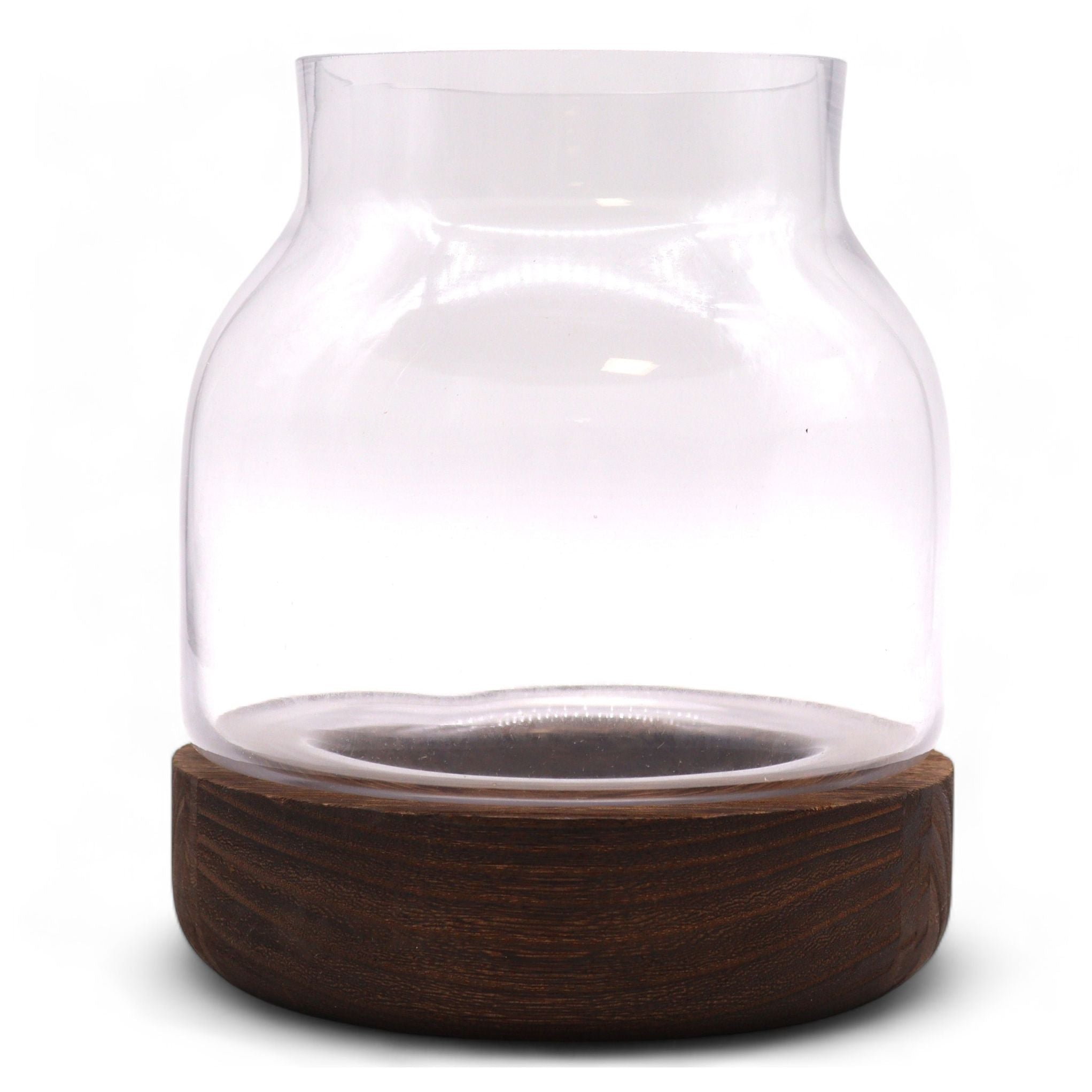 Medium Shaped Terrarium on Dark Tung Wood for Indoor Decor