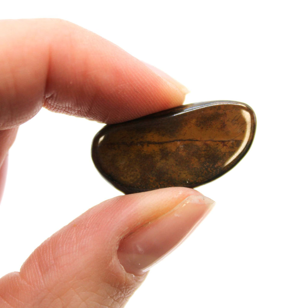 Small African Tumble Stones Blue Tiger Eye for Mineral Collectors