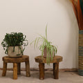 Higher Teak Pad Display Set of Two for Home Decor Styling