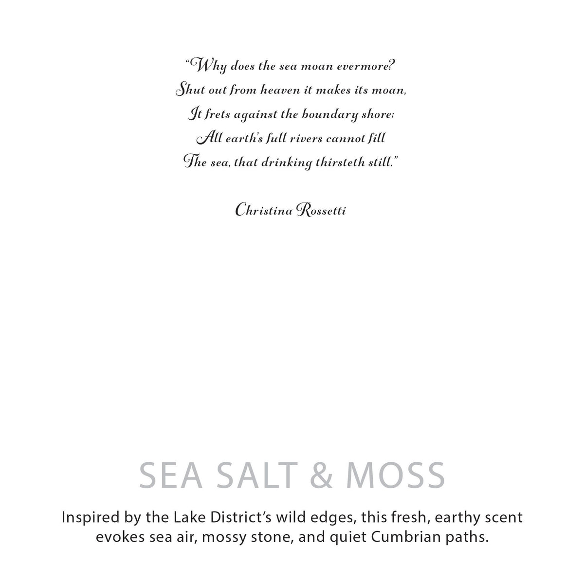 Agnes + Cat Botanical Soy Wax Candle - Sea Salt & Moss