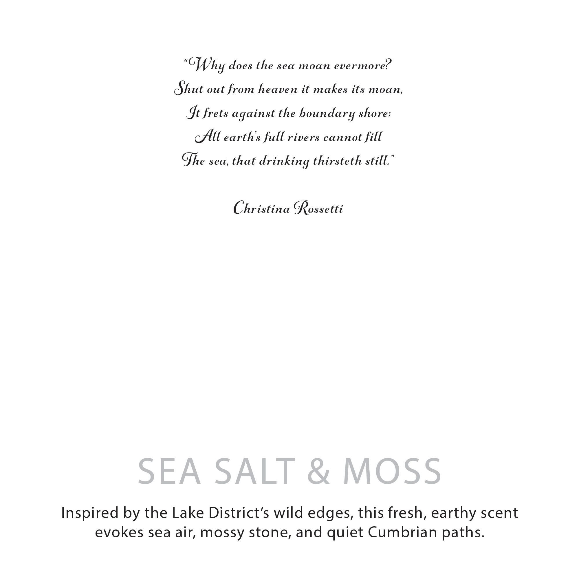 Agnes + Cat Botanical Soy Wax Candle - Sea Salt & Moss
