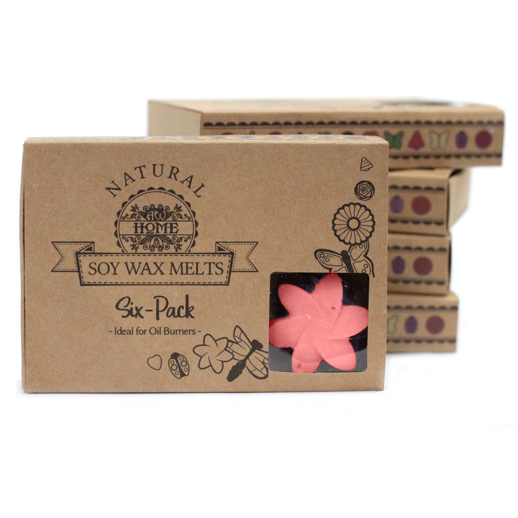 Box of 6 Japanese Magnolia Wax Melts for Home Fragrance Bliss