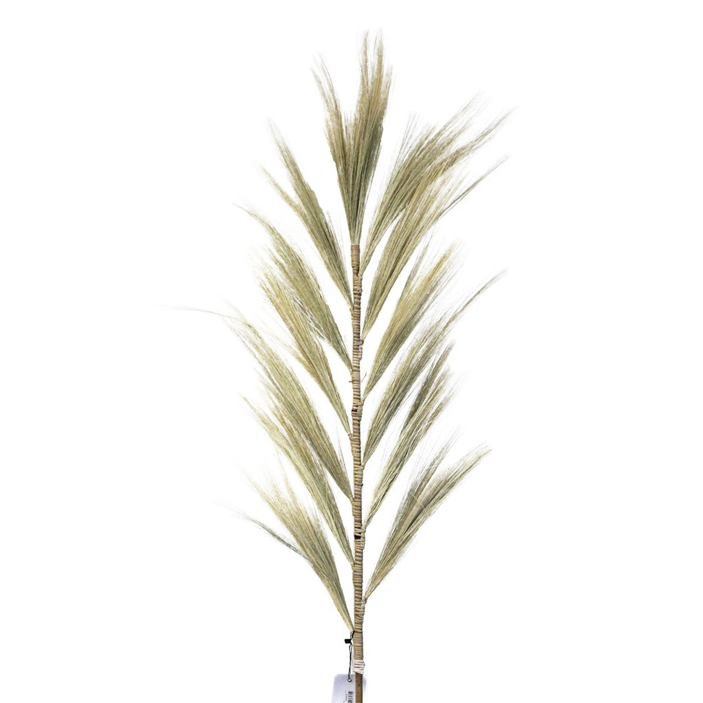 Rayung Grass Blond Display for Exotic Tropical Decor 1.6m Height