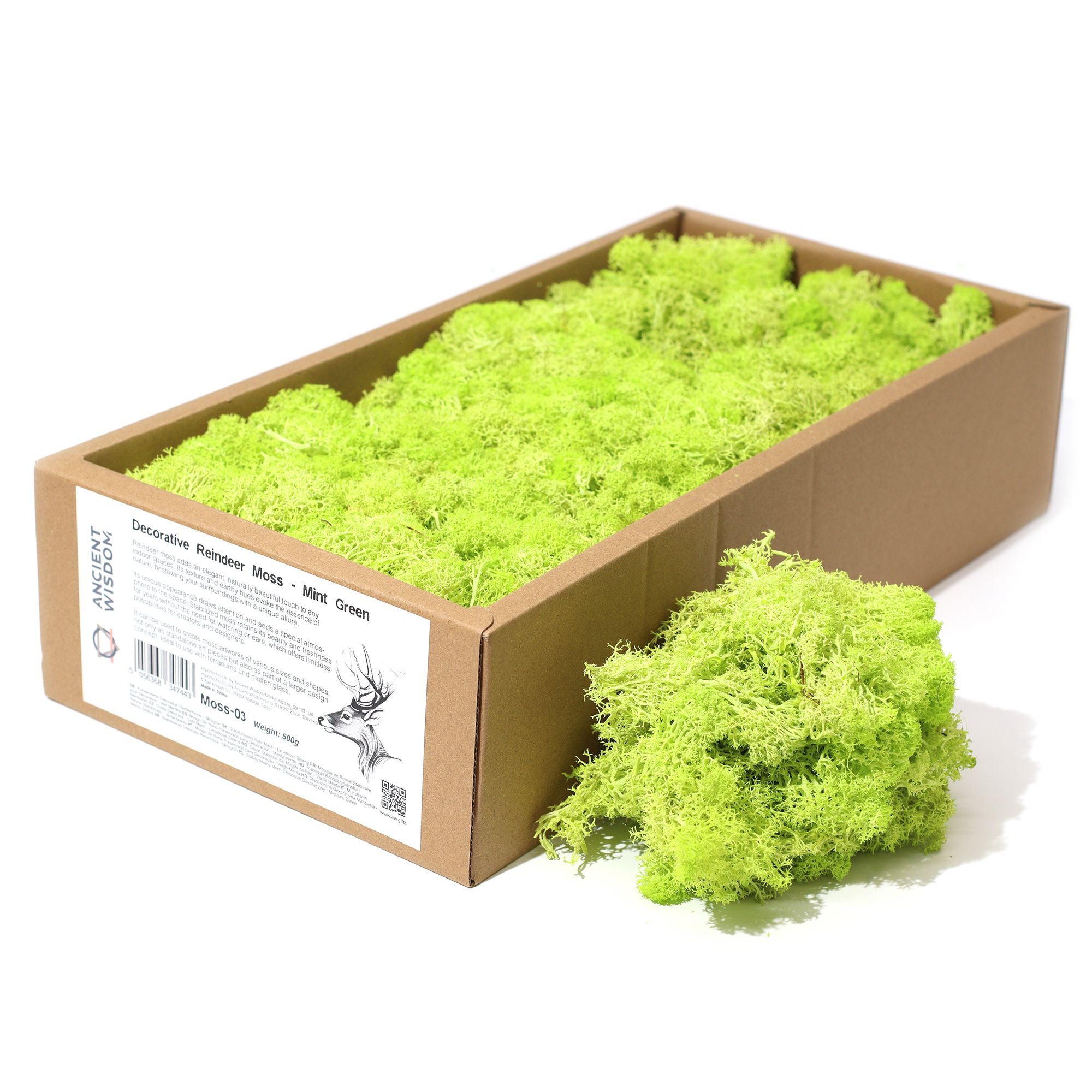 Decoration Reindeer Moss in Mint Green for Crafting and Decor