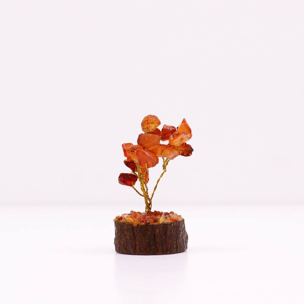 Mini Gemstone Tree on Wood Base with 15 Vibrant Carnelian Stones