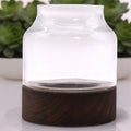 Medium Shaped Terrarium on Dark Tung Wood for Indoor Decor