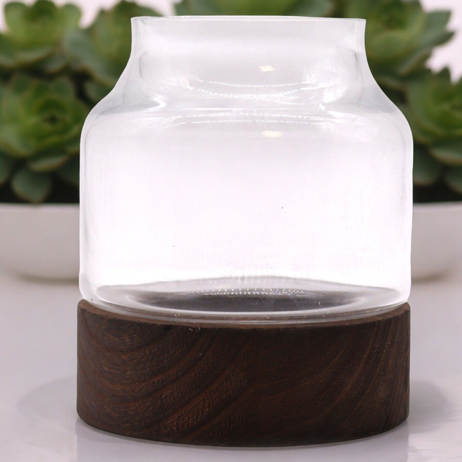 Medium Shaped Terrarium on Dark Tung Wood for Indoor Decor