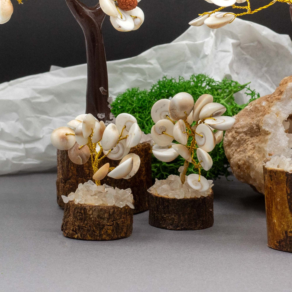 Small Gomati Chakra Circle Stone Tree with Rudraksha 15 Stones