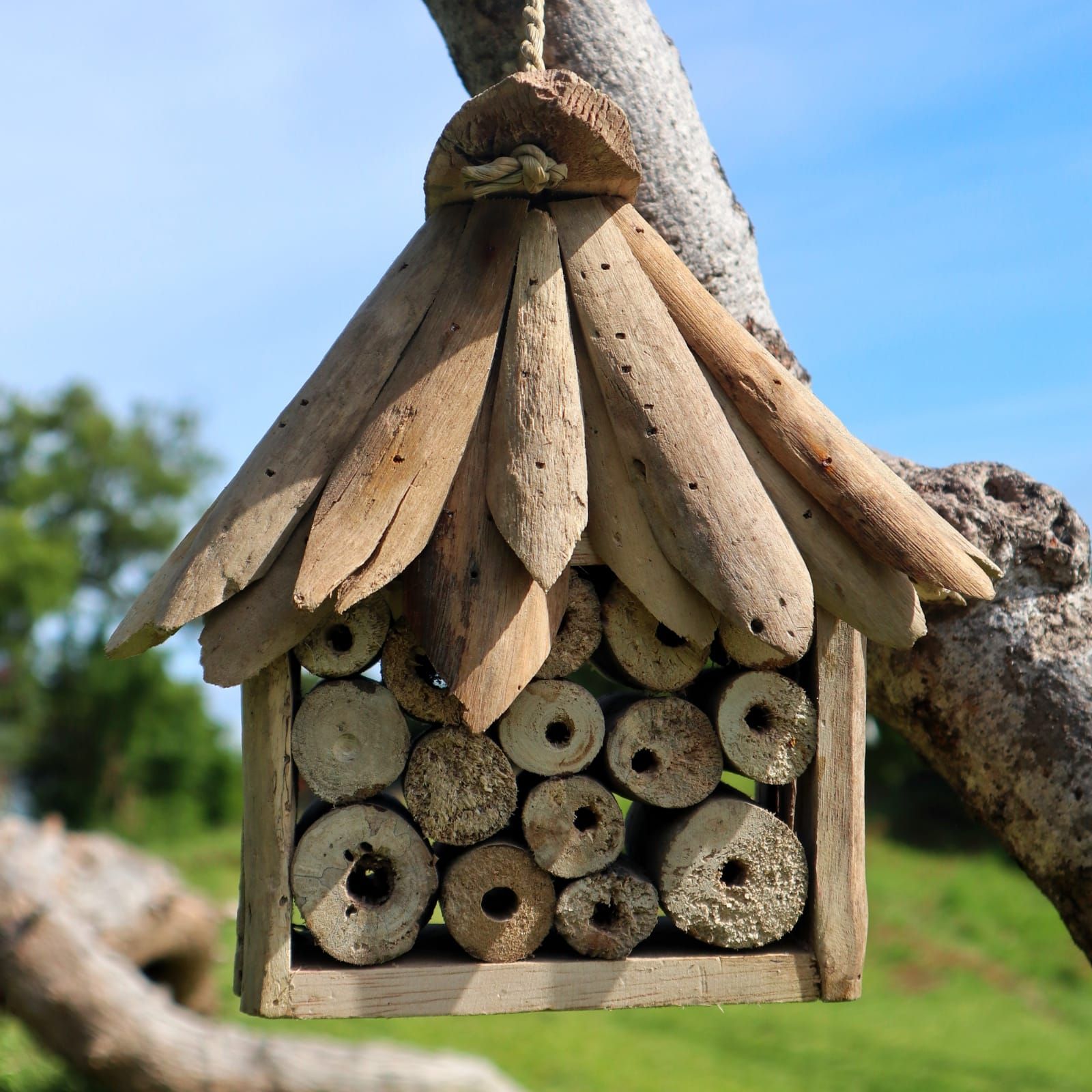 Driftwood Bee and Insect Box for a Lively and Vibrant Garden Habitat