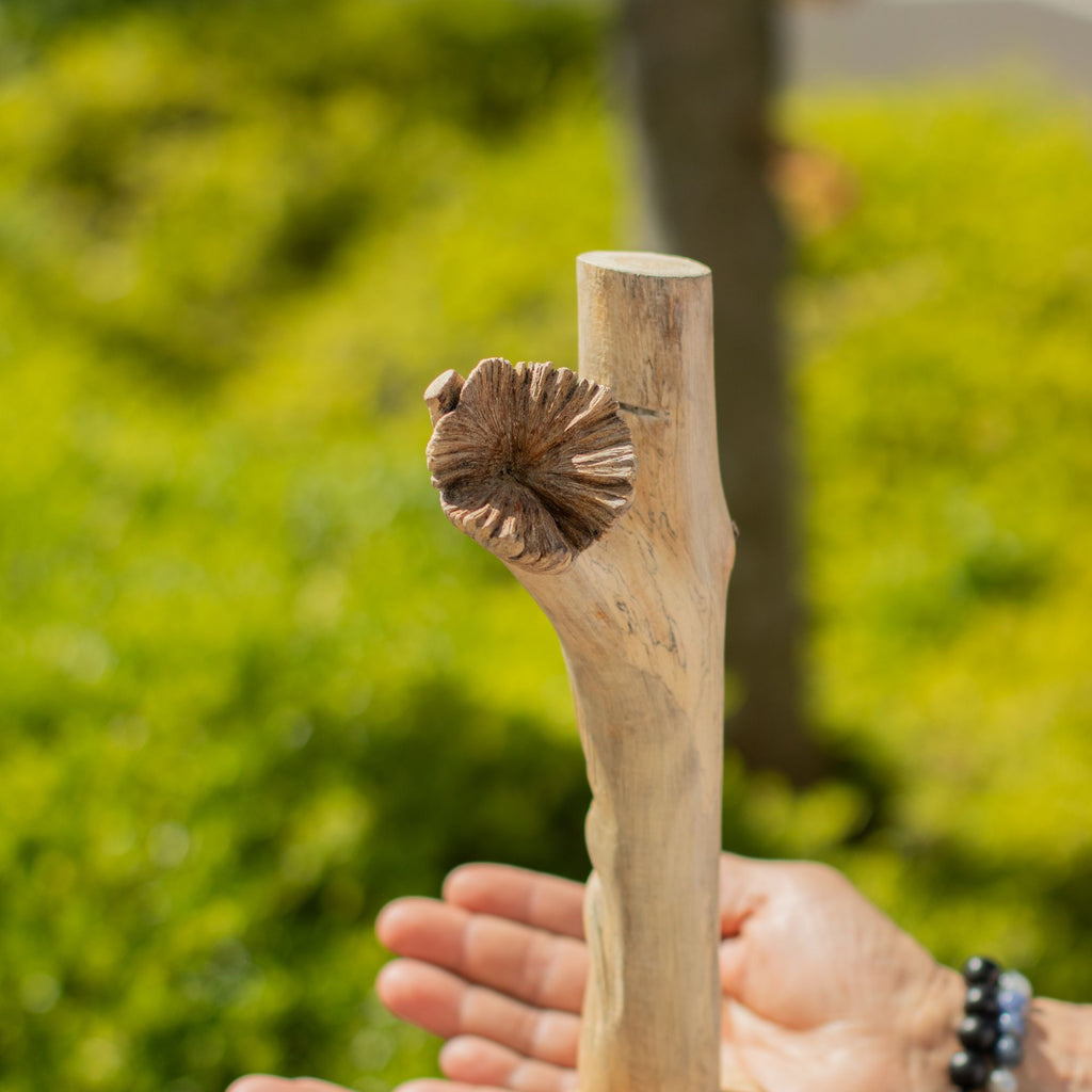 Handmade Parasite Wood Art Carving with Unique Greenman Design
