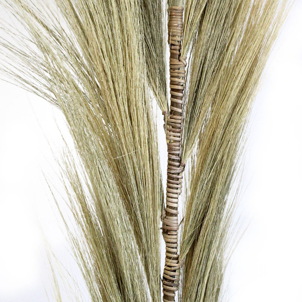 Rayung Grass Blond Display for Exotic Tropical Decor 1.6m Height