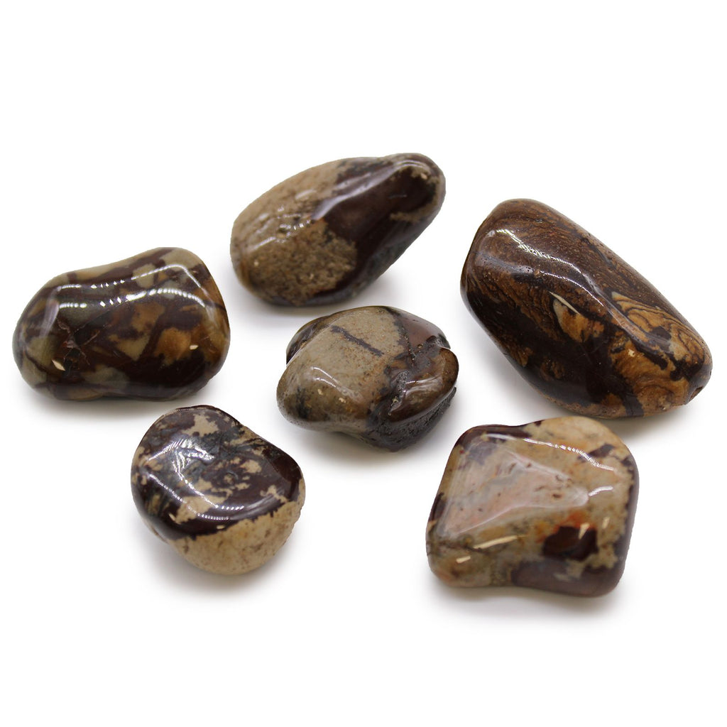 Large African Tumble Stones Jasper Nguni for Distinctive Home Decor