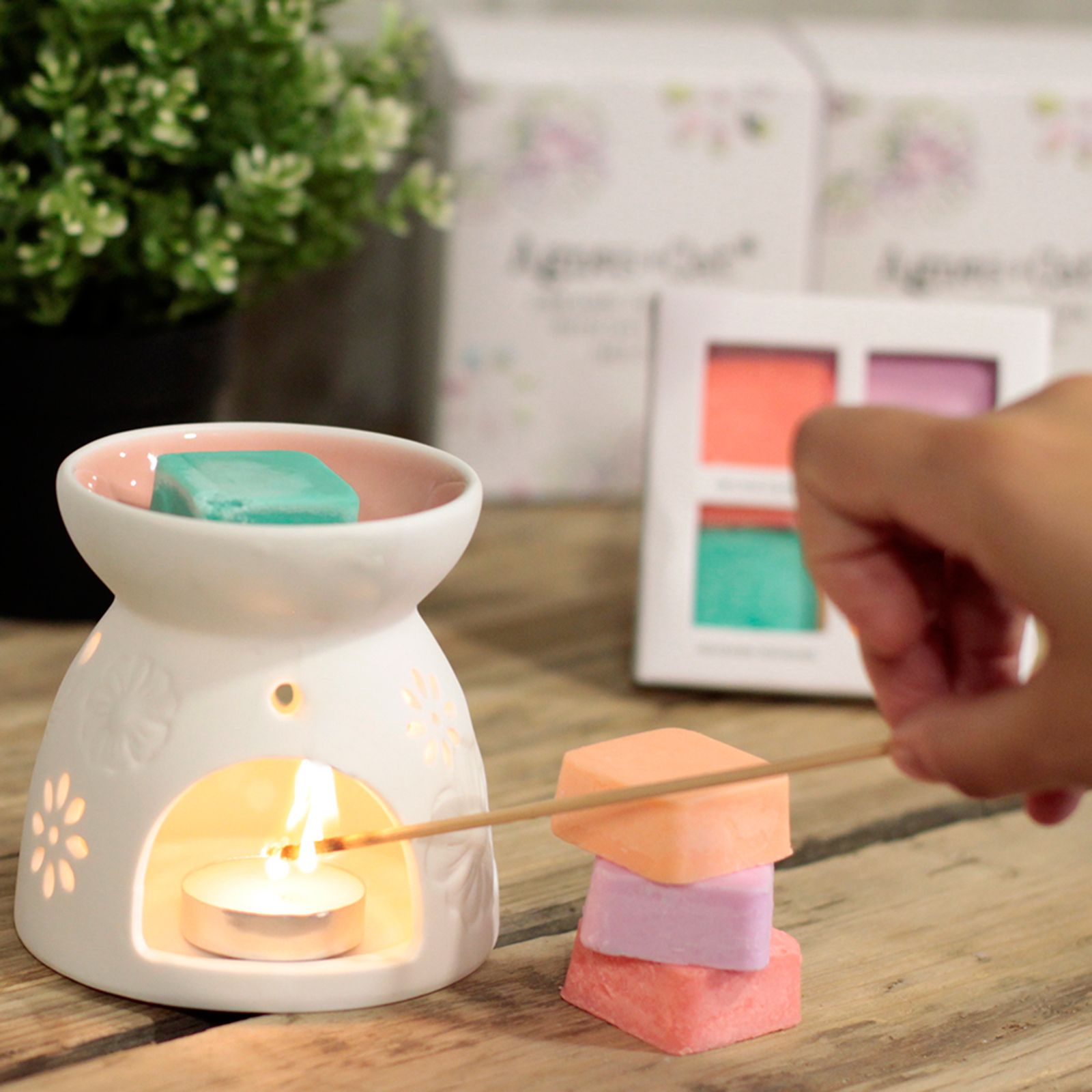 Agnes + Cat Wax Melter with Four Soy Wax Melts
