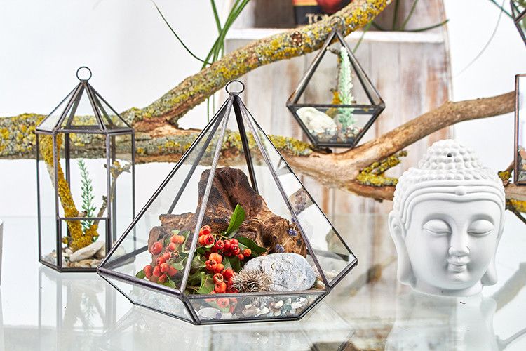 Large Diamond Glass Terrarium for Stylish Home Decor and Plants