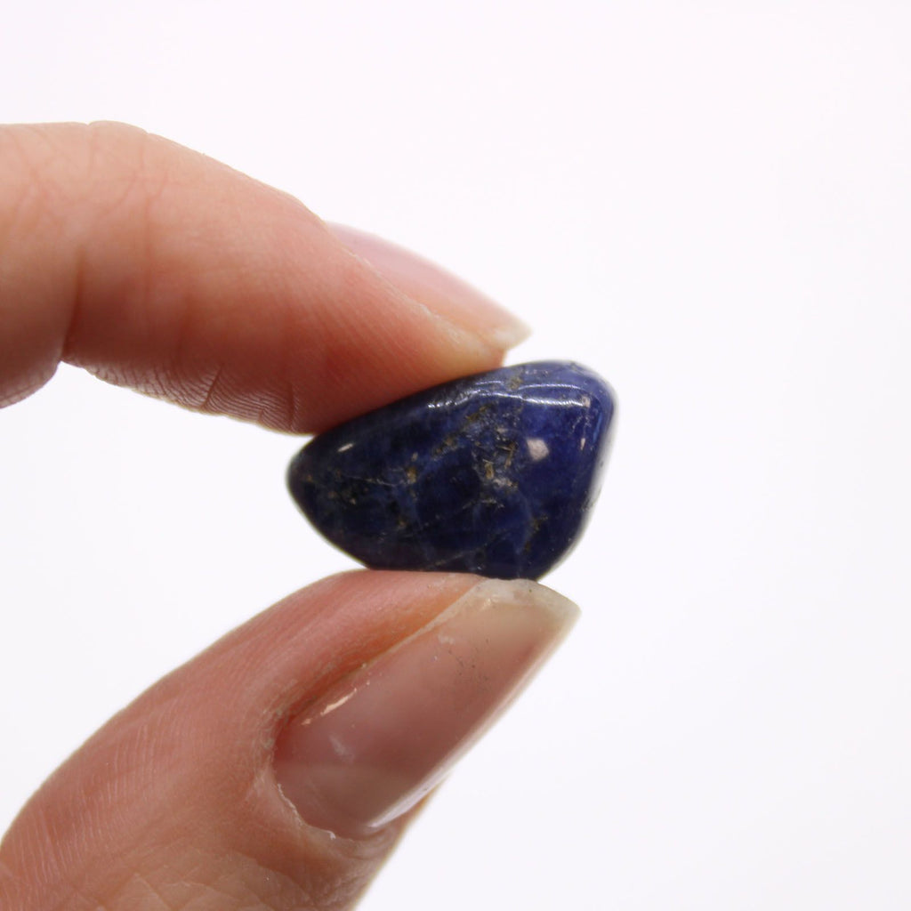 Small African Tumble Stones Sodalite Pure Blue for Mind Opening