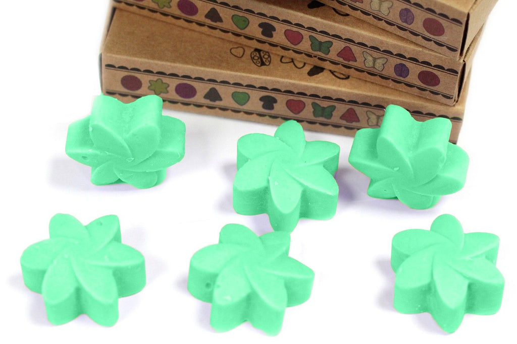 Box of 6 Hidden Garden Wax Melts for Enchanting Home Fragrance