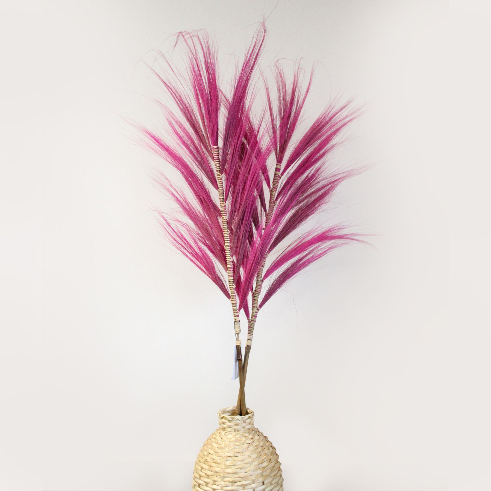Stunning 1.6m Rayung Grass Pink Display for Tropical Decor