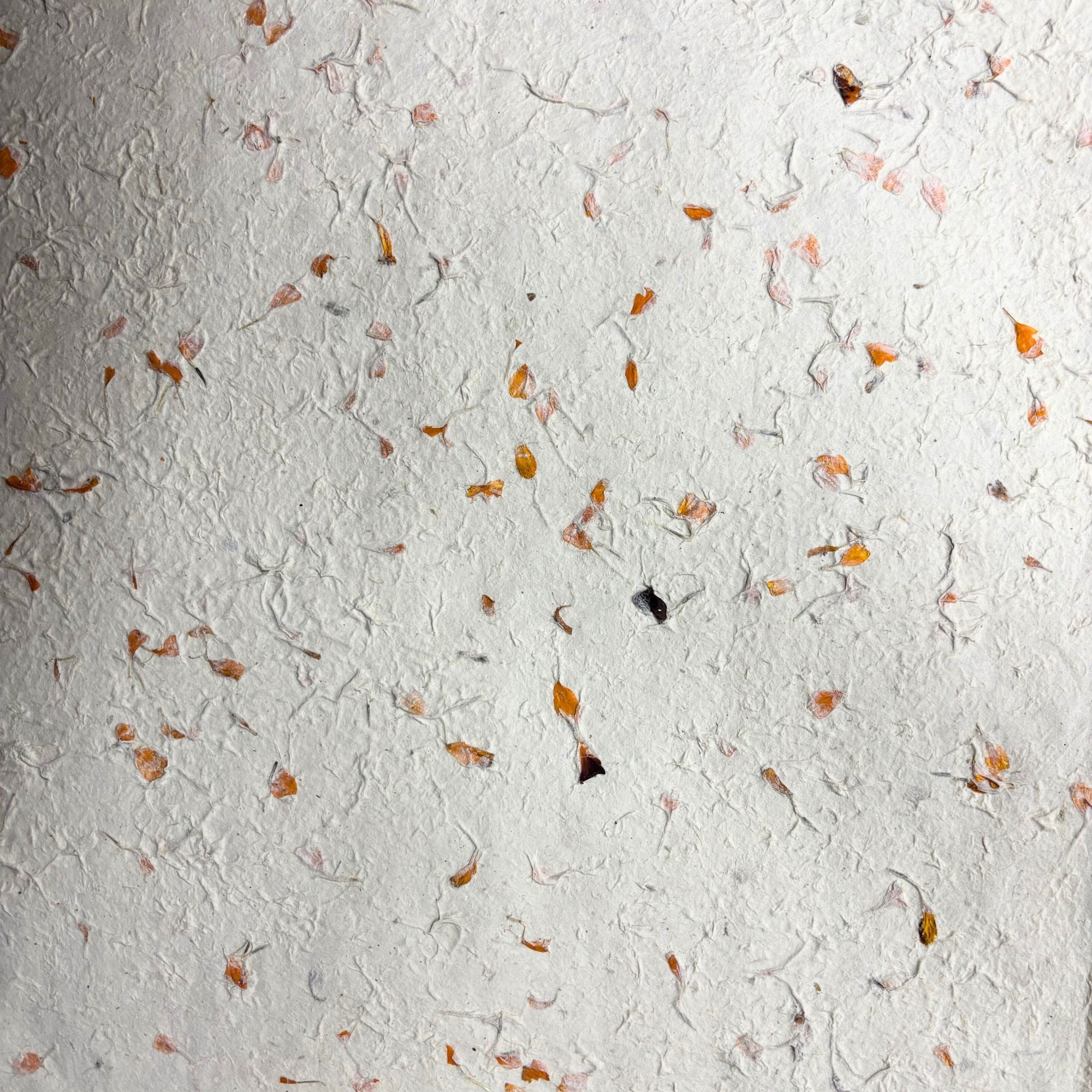 Marigold Lokta Craft and Wrapping Paper 51x76cm for Unique Gifts