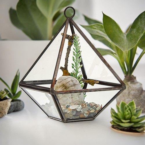 Small Diamond Glass Terrarium for Succulents and Air Plants