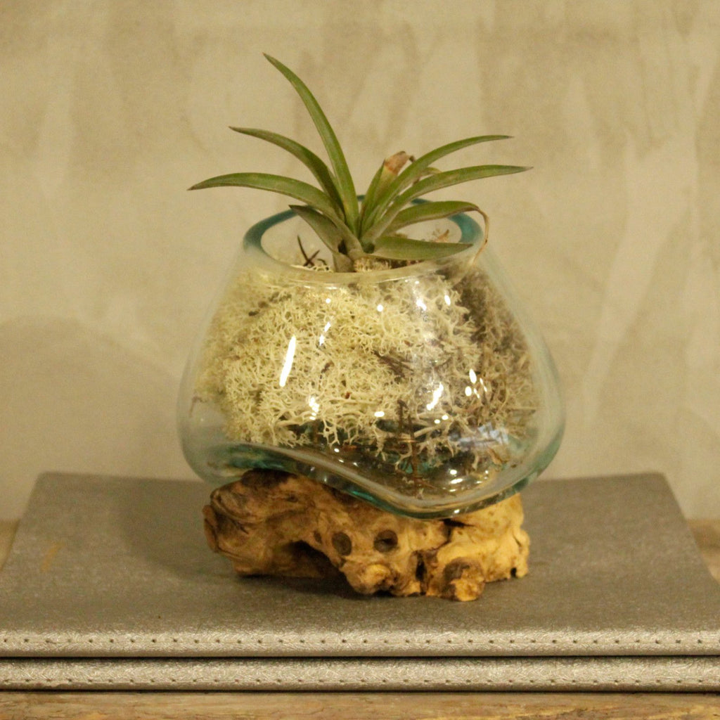 Molten Glass on Wood Small Bowl for Chic Home Decor Accents