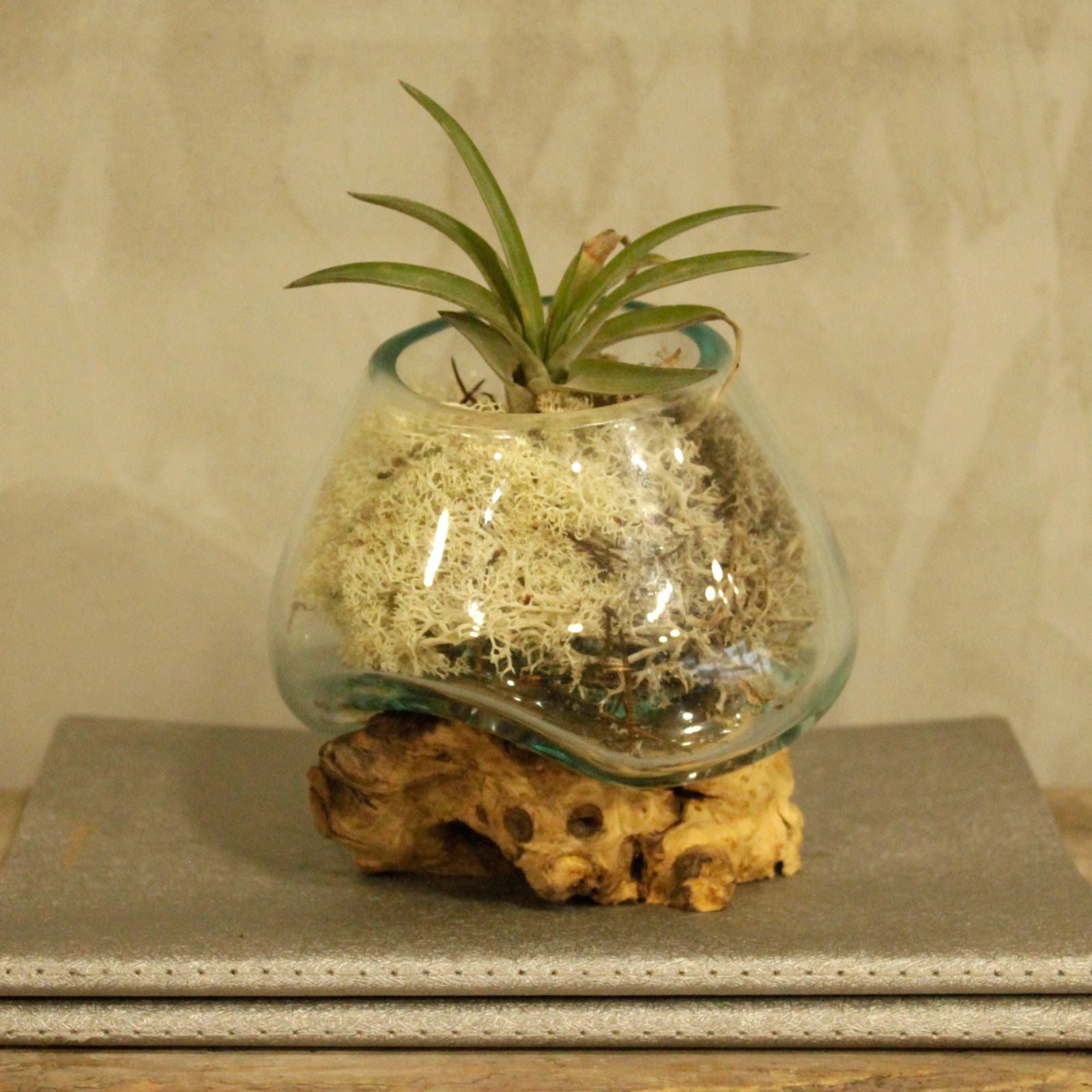 Molten Glass on Wood Small Bowl for Chic Home Decor Accents