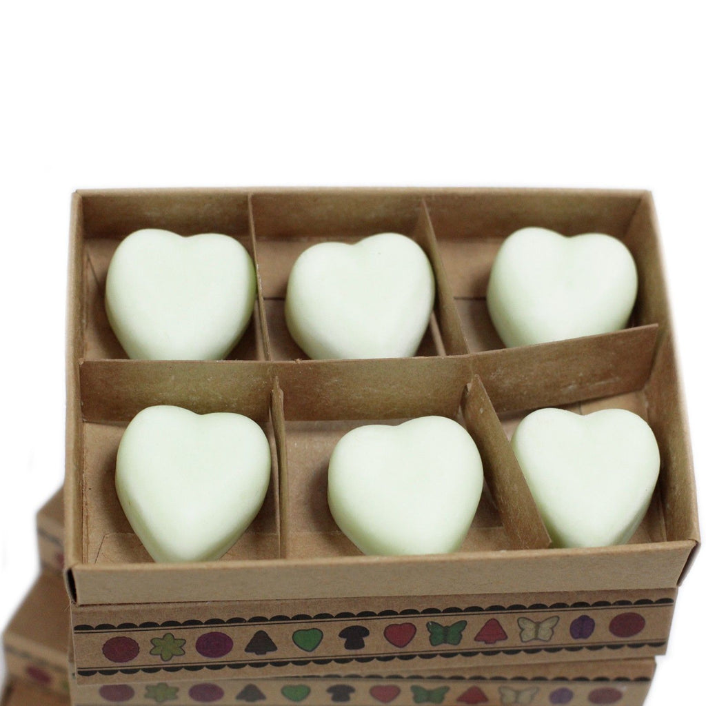 Box of 6 Apple Spice Wax Melts for Home Fragrance Delight