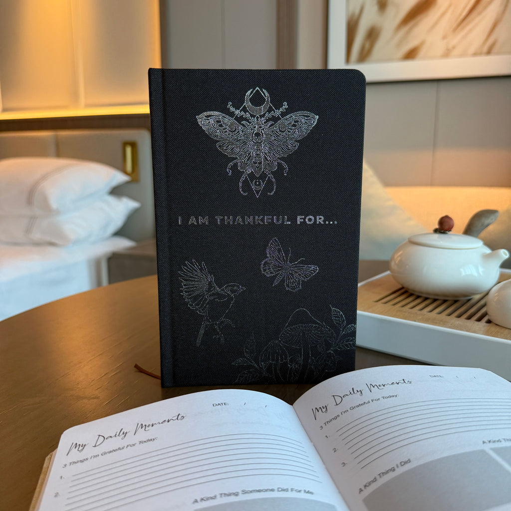 Black Gratitude Journal with Silver Lining for Daily Reflection