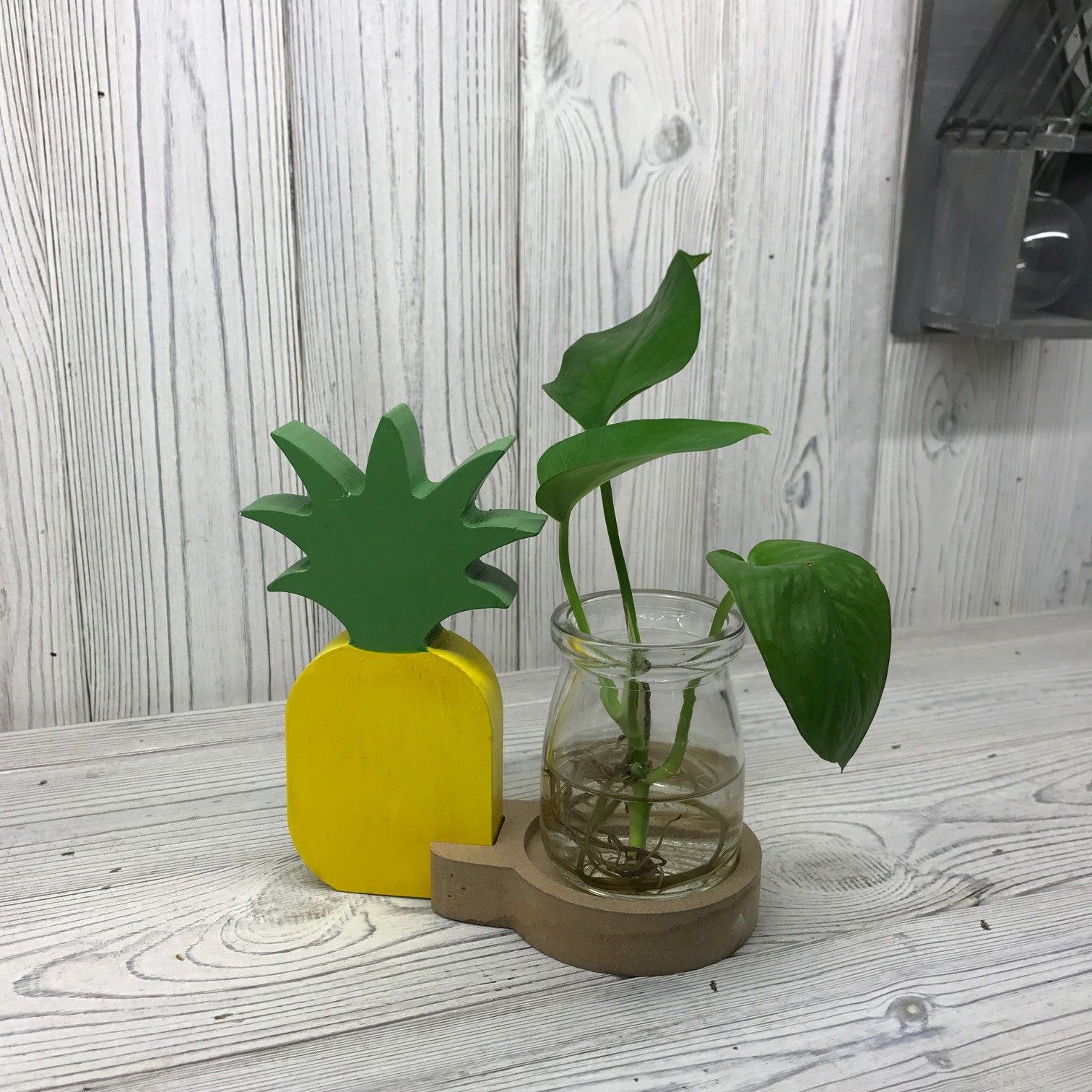 Hydroponic Home Décor Pineapple Pot for Stylish Plant Displays