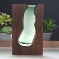 Glass Vase Terrarium Inside Dark Tung Wood Base for Decor