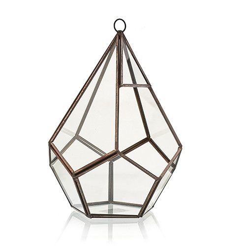 Glass Terrarium Large Pentagon for Succulents and Air Plants