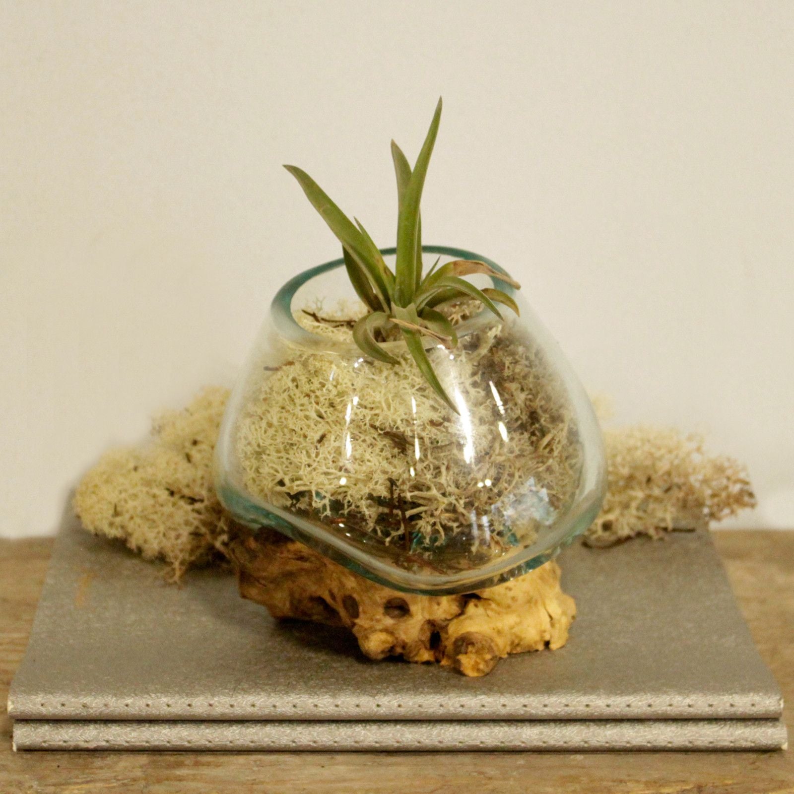 Molten Glass on Wood Small Bowl for Chic Home Decor Accents