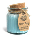 Winter Berry Soy Pot of Fragrance Candles for Home Decor Use