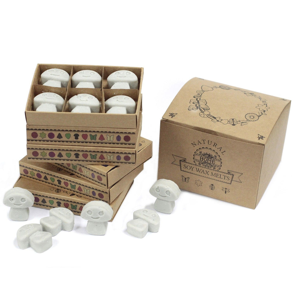 Box of 6 Dark Patchouli Wax Melts for Enchanting Home Fragrance