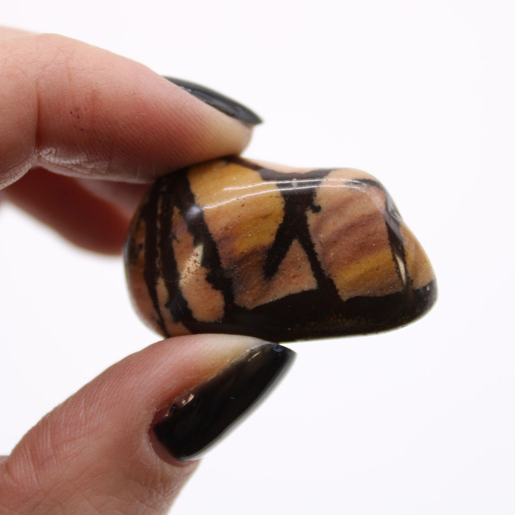Medium African Tumble Stones Jasper Nguni for Unique Home Decor