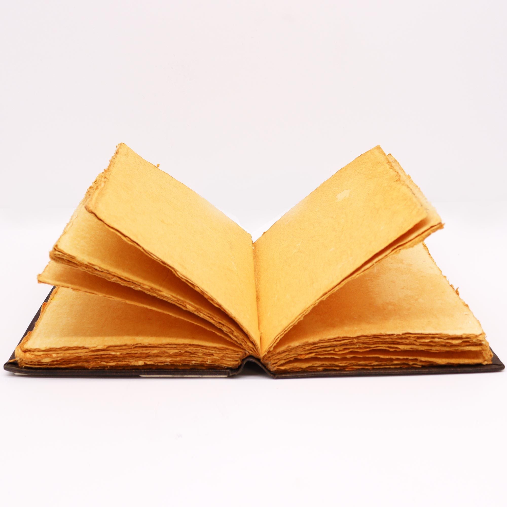 Hefty Red Tan Leather Book with Zinc Rose Decor and 200 Pages
